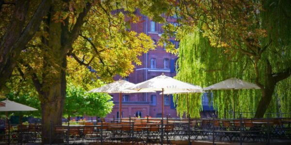 Commercial umbrellas for restaurants